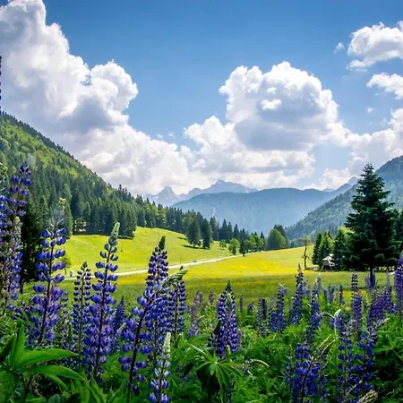 Lejlighed Hisa Grilc *