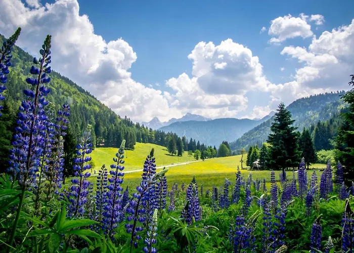 Apartma Hisa Grilc *